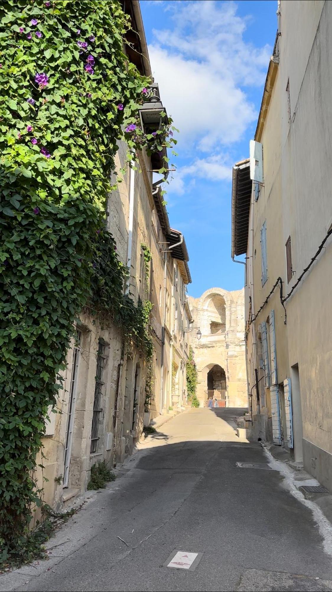Holiday home La Maison Des Hautures Arles